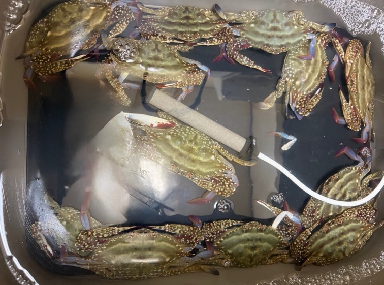 思わぬ副産物!!
